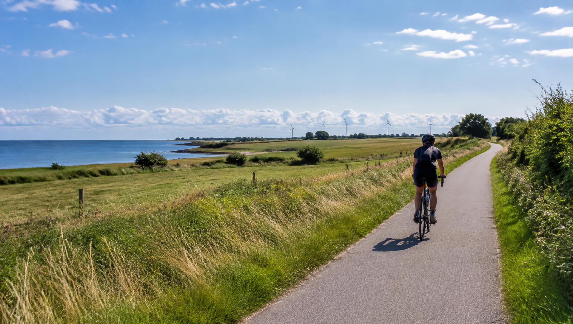 Radfahrer auf dem Küstenradweg zwischen Wiesen und Ostsee